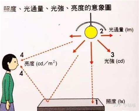 光照意思|光照（专业术语）